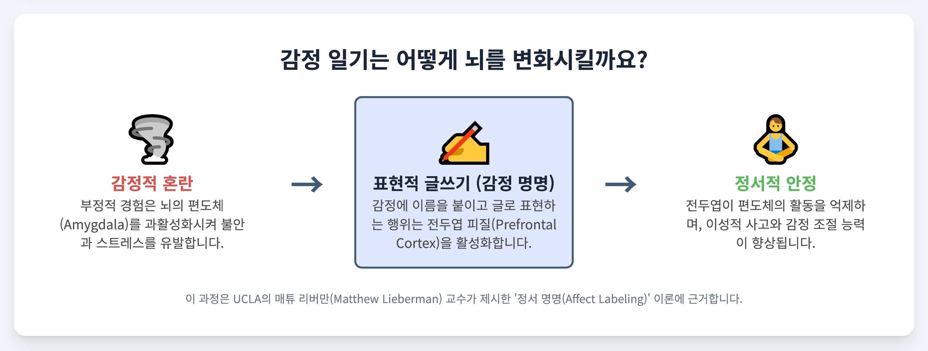 뇌 변화 메커니즘